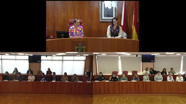 poster Pleno Específico do Consello Municipal da Muller